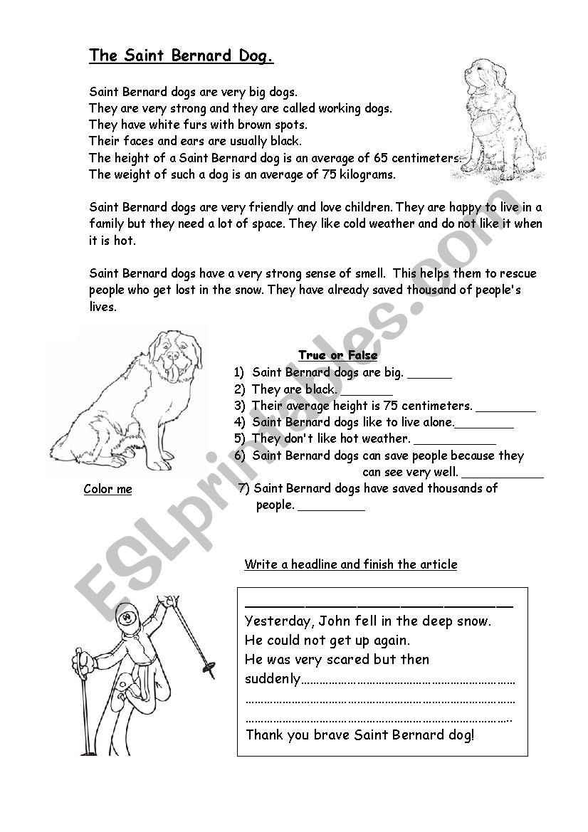 The Saint Bernard Dog worksheet