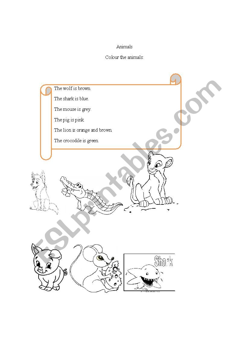 Revision Animals worksheet