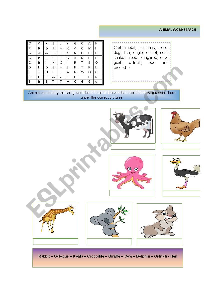 Describing animal worksheet