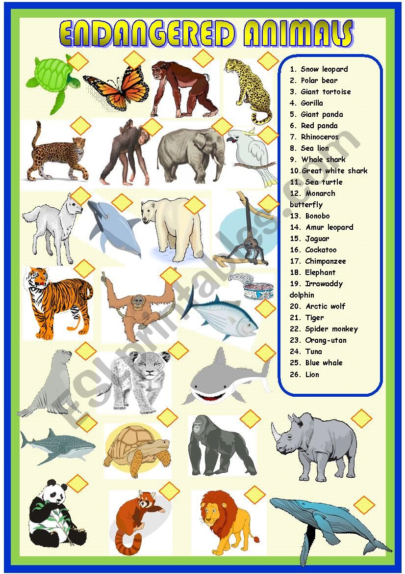 Endangered animals : matching worksheet