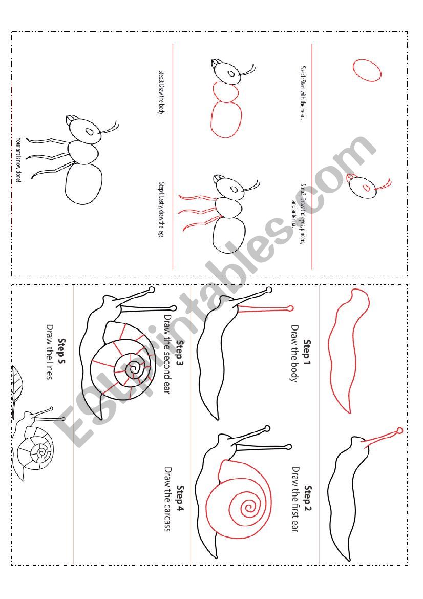 Insects drawing worksheet