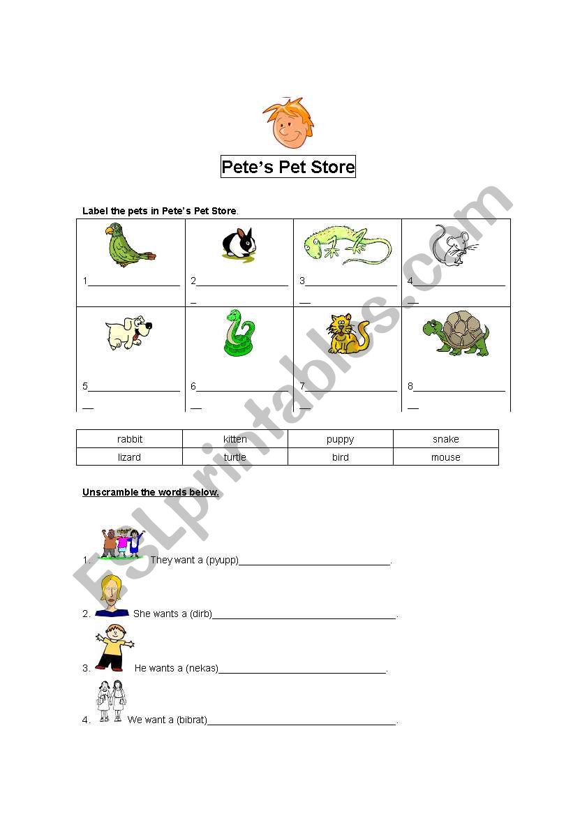 Pets worksheet