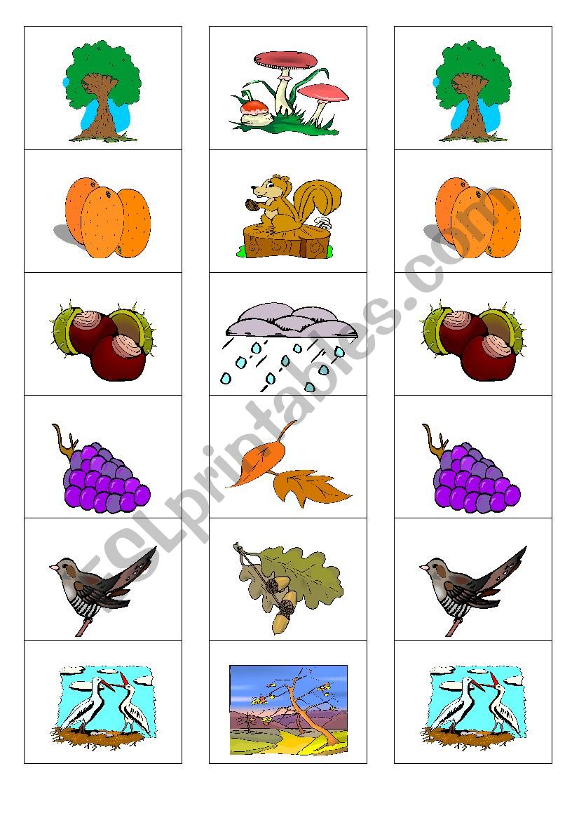 autumn memory game worksheet