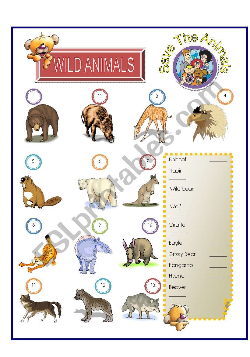 Wild Animal - Match Part-4 worksheet
