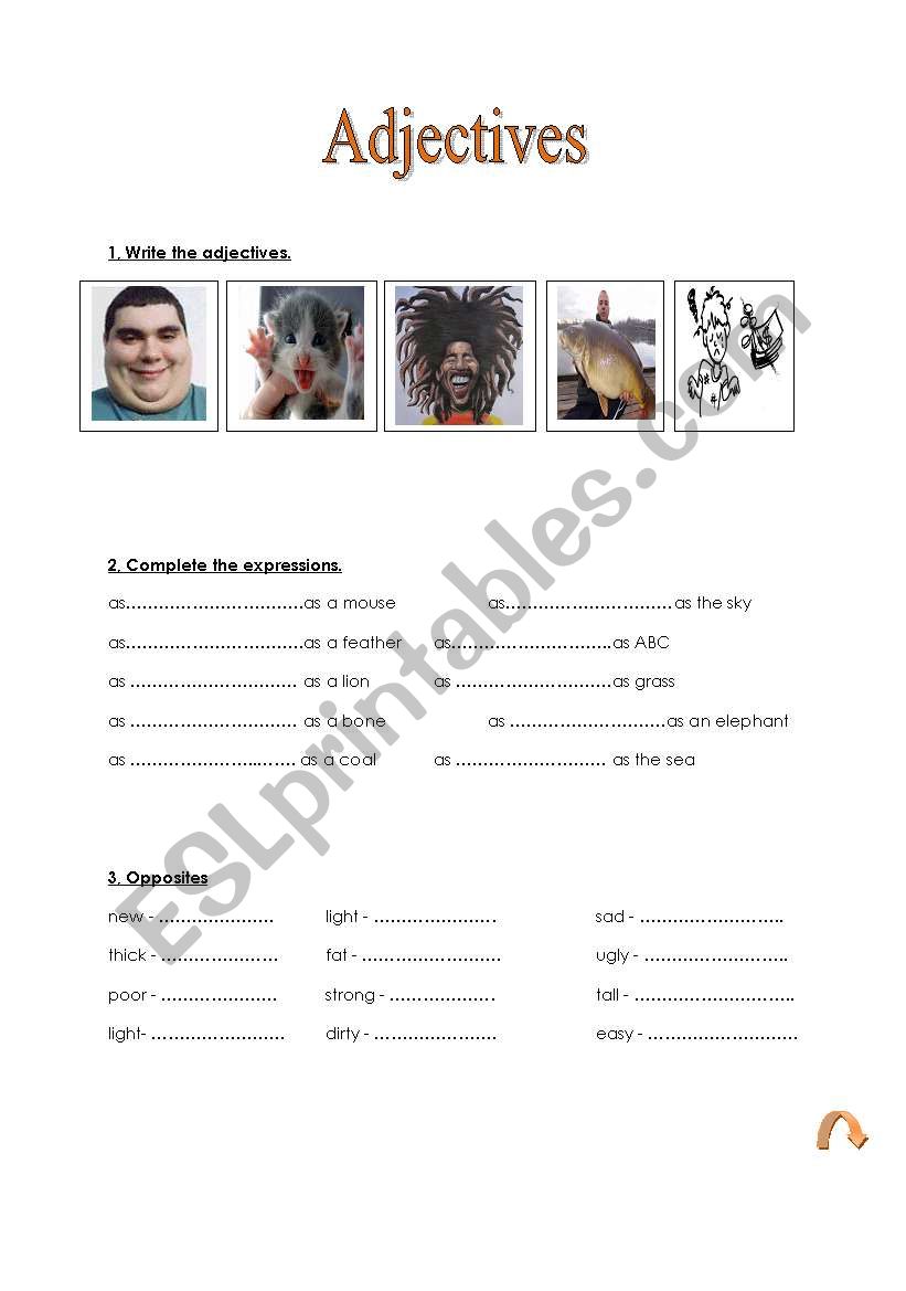 Adjectives worksheet