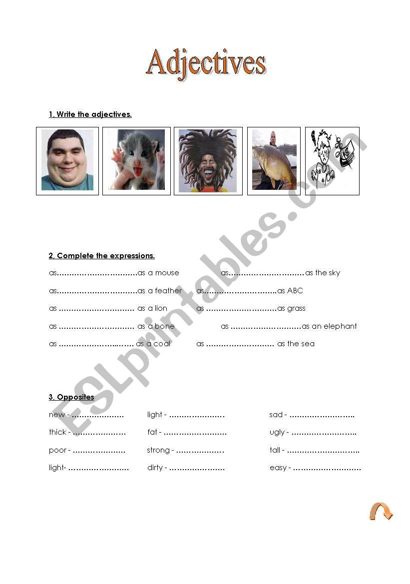 Adjectives worksheet