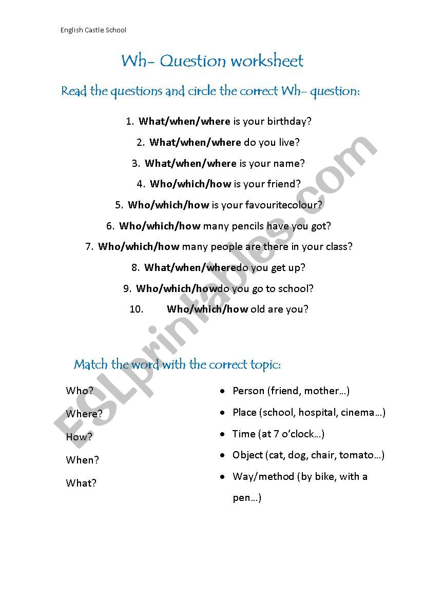 Wh- Question worksheet worksheet