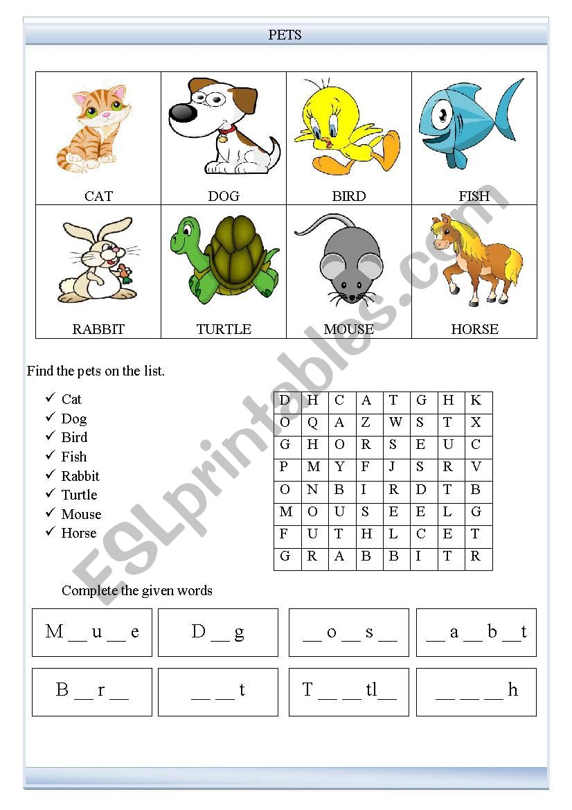 Pets worksheet worksheet