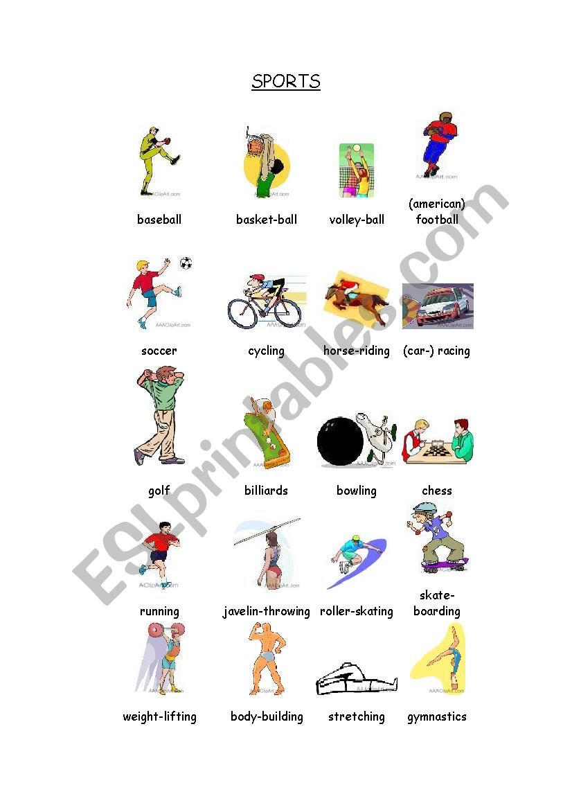 Sports worksheet