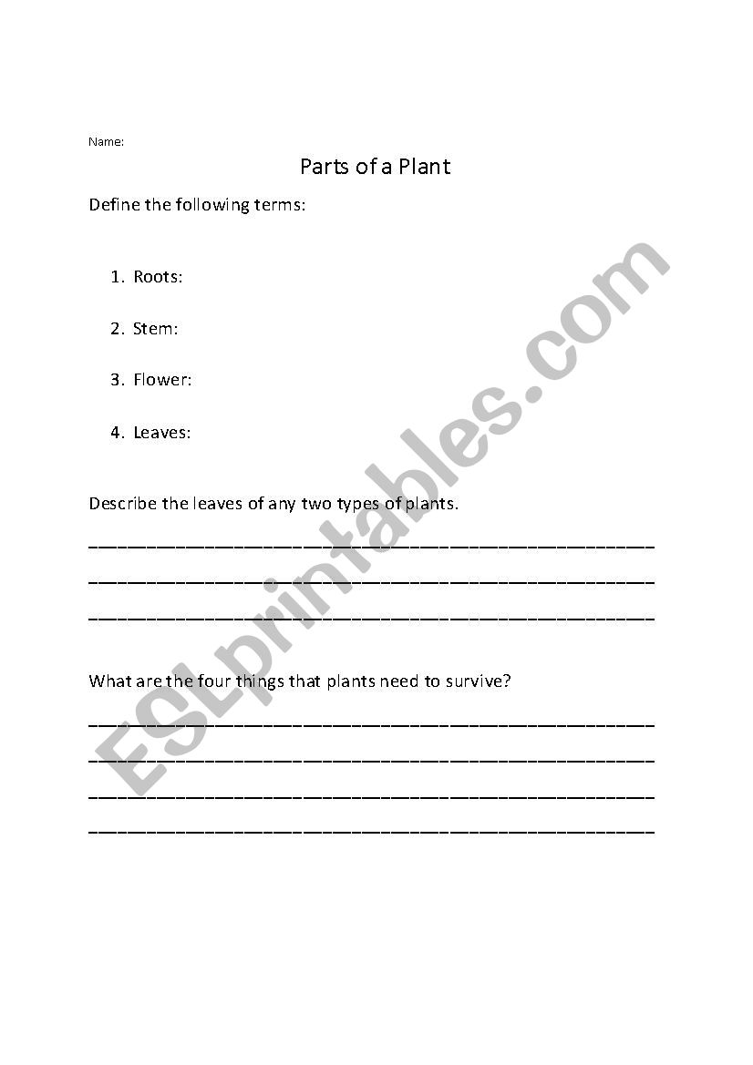 Parts of a plant worksheet