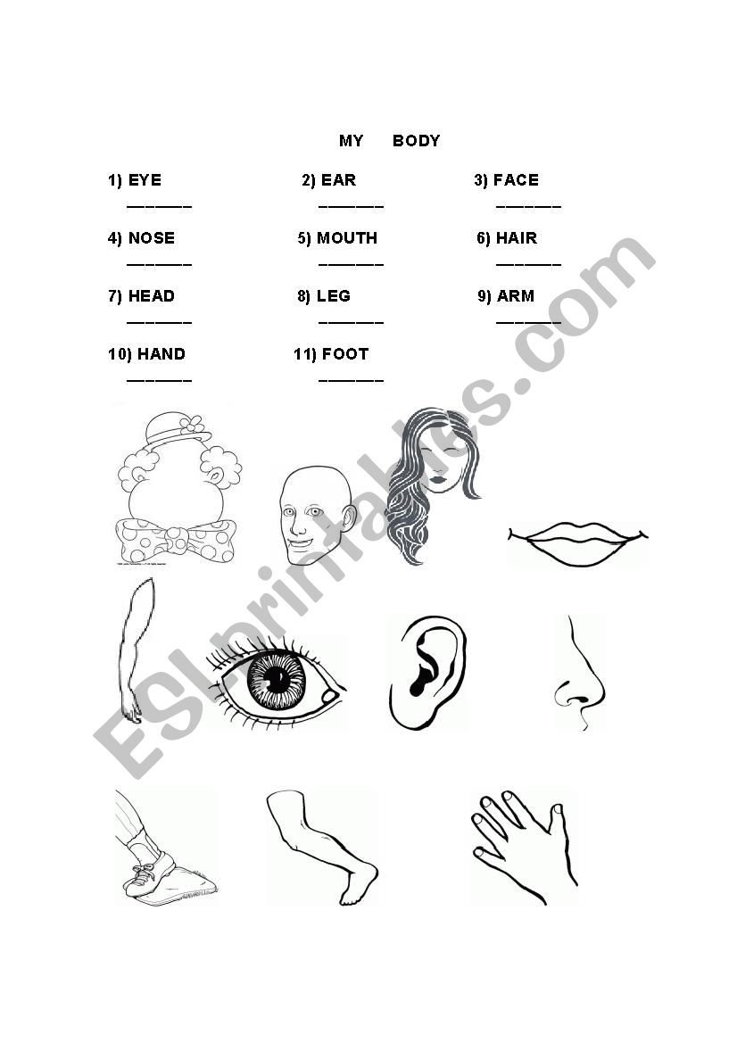 Parts of the body worksheet