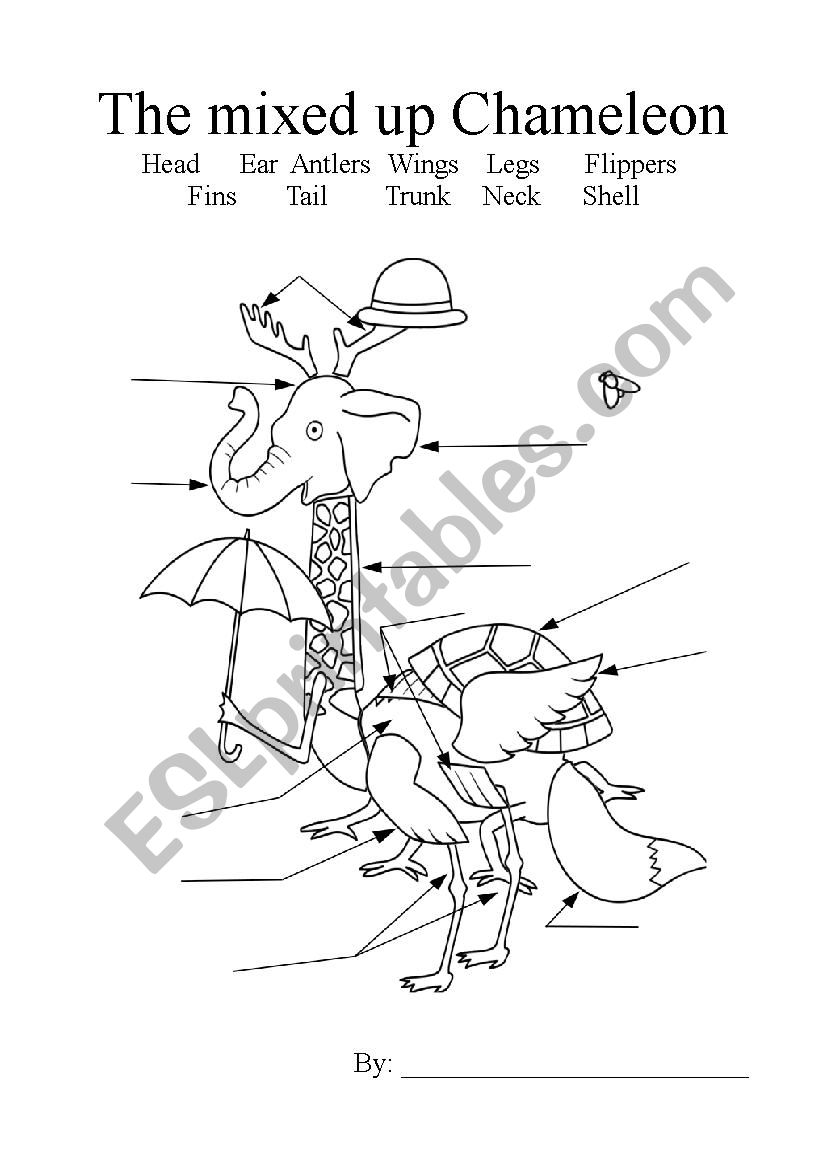 Mixed-up Chameleon worksheet