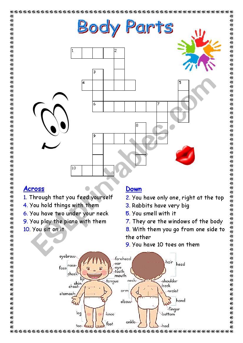 Body parts crosswords worksheet