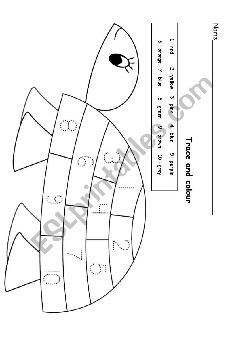 Funny Turtle worksheet