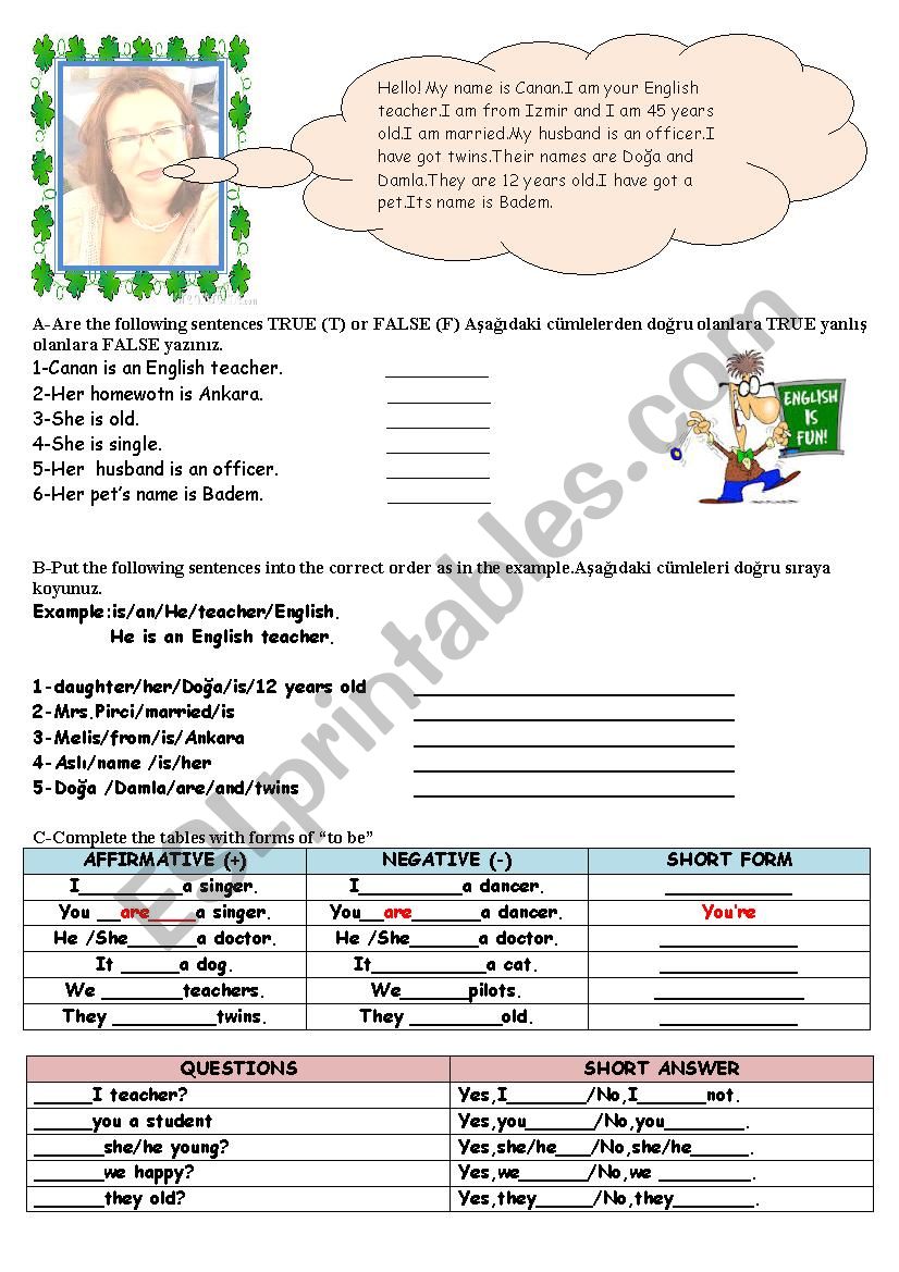 verb to be homework  worksheet