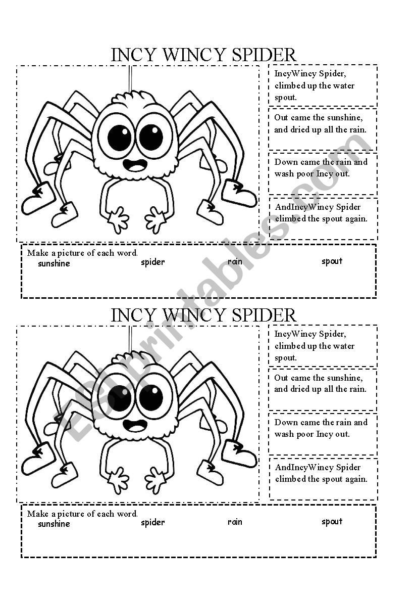 Incy Wincy Spider worksheet