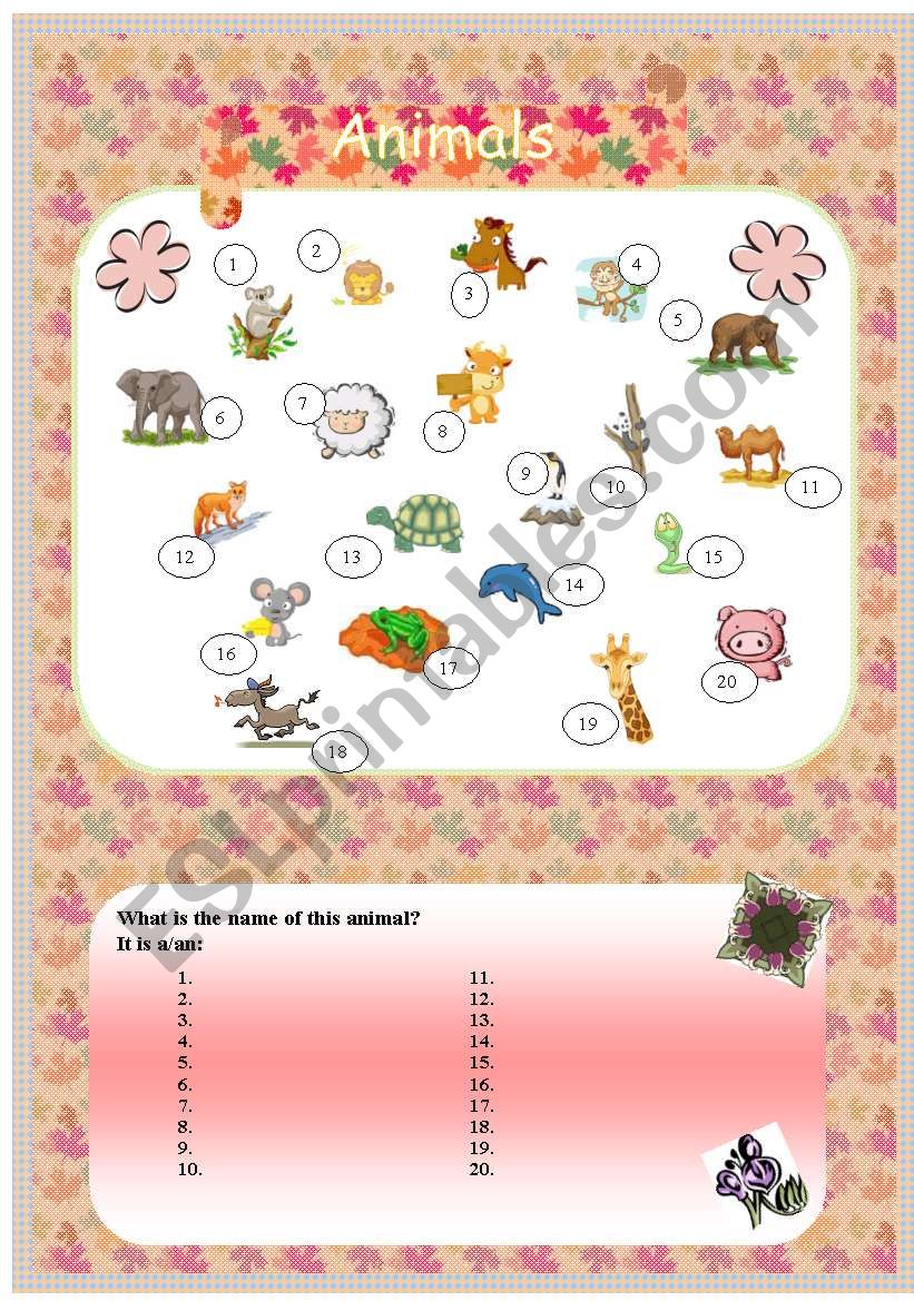 animals worksheet