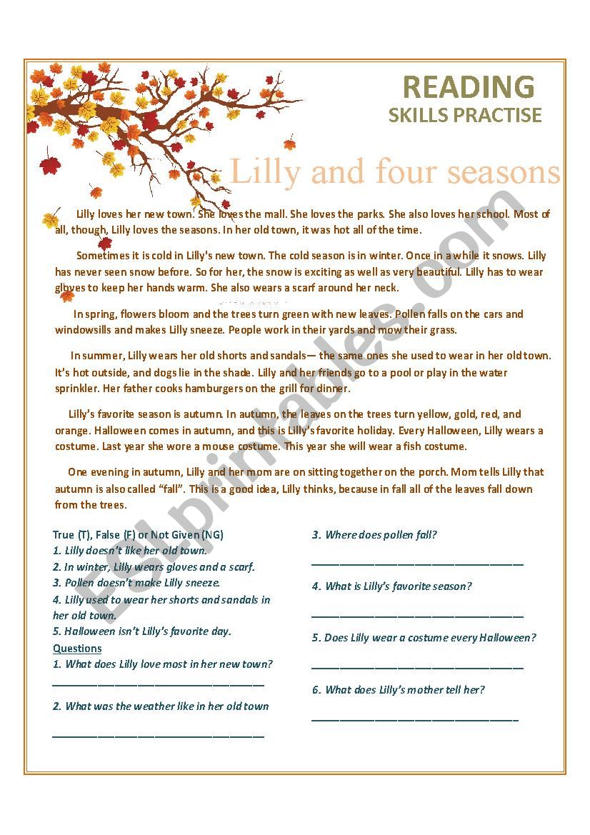 Reading skills practise: Lilly and four seasons