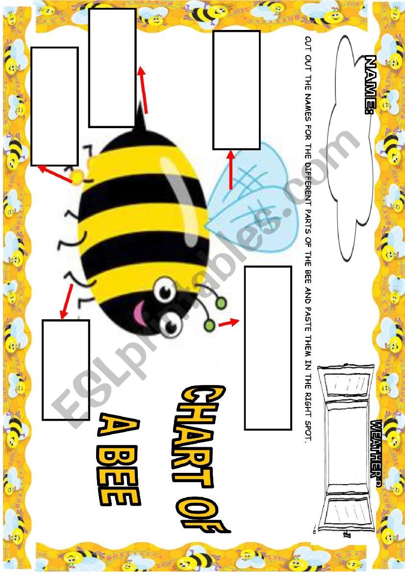 BEE CHART worksheet