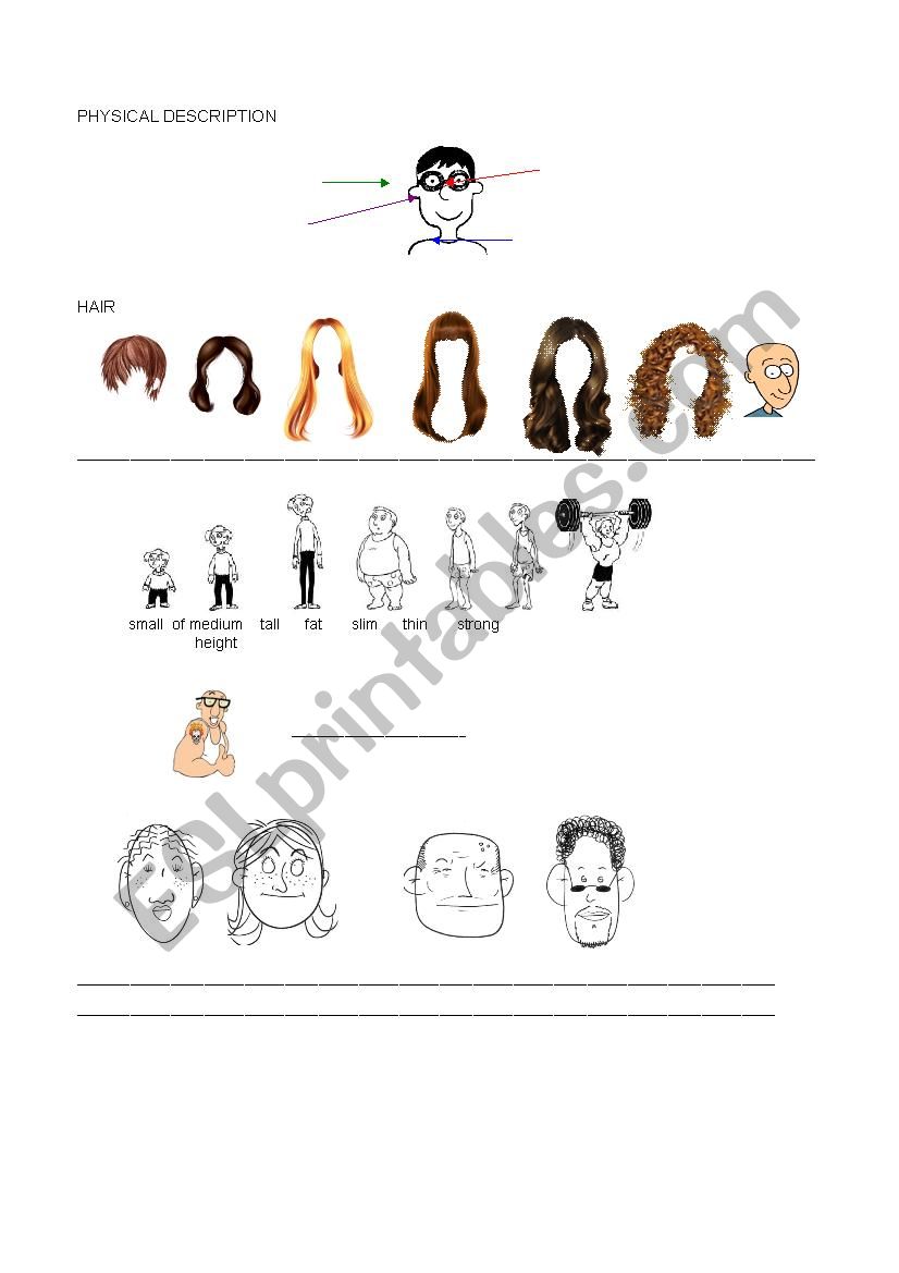 physical description worksheet
