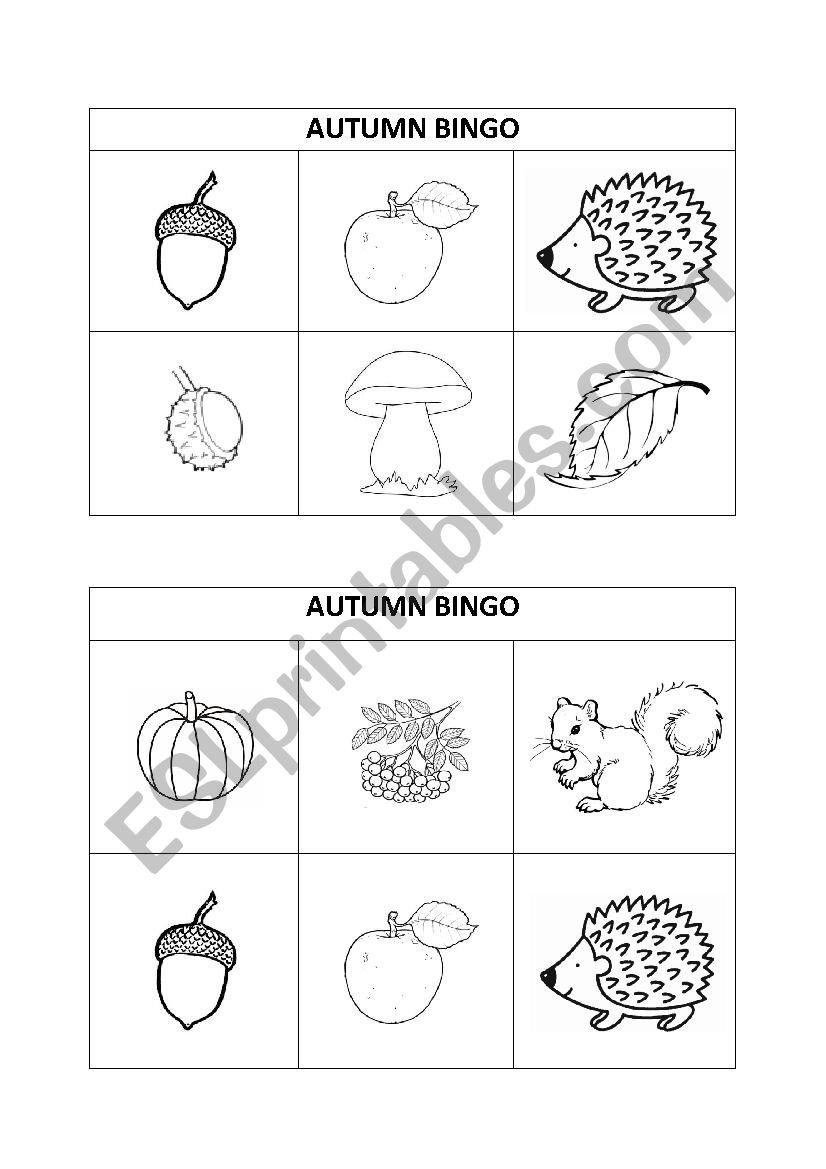 Autumn vocabulary practice BINGO