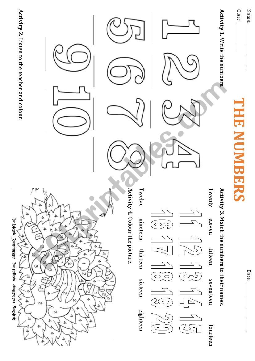 Numbers 1-20 worksheet