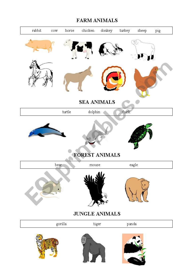 animals worksheet