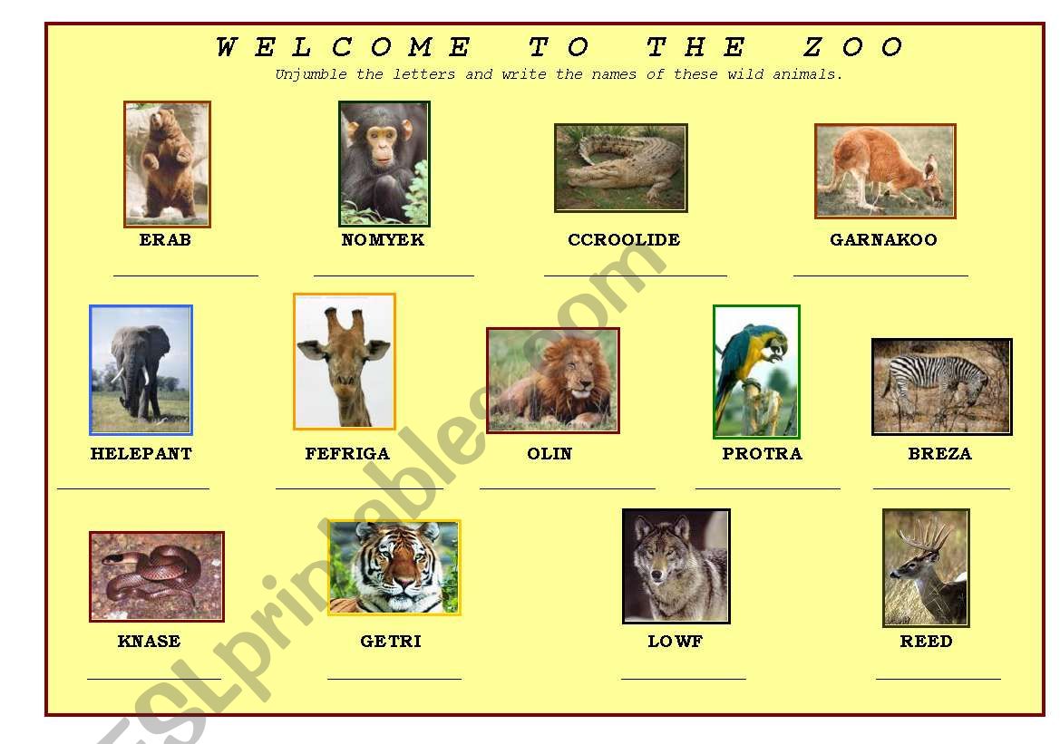 wild animals worksheet