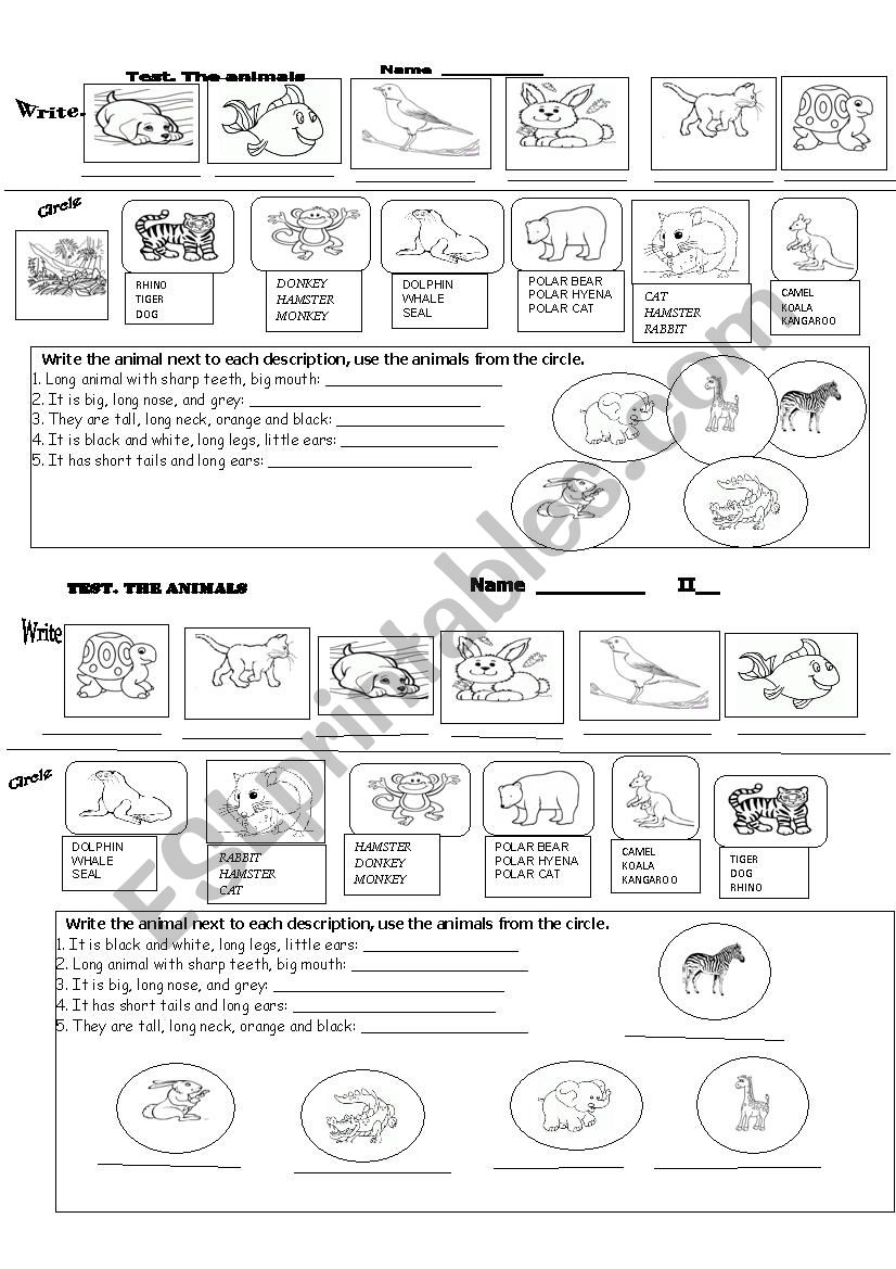 ANIMALS. EVALUATION  worksheet