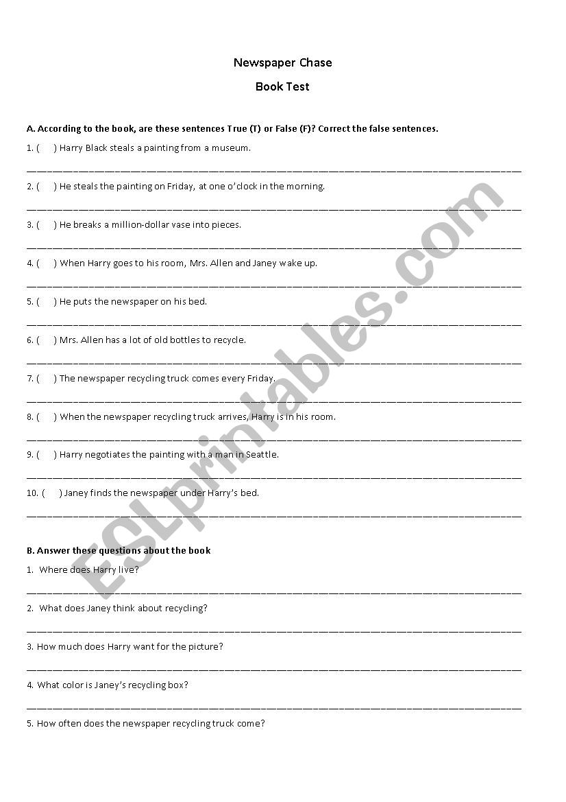 Newspaper Chase - Book Test worksheet