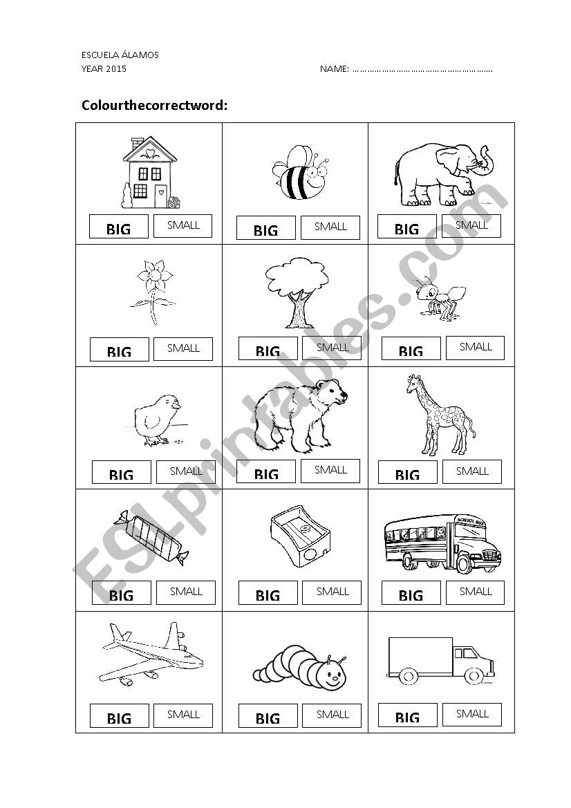 big - small worksheet