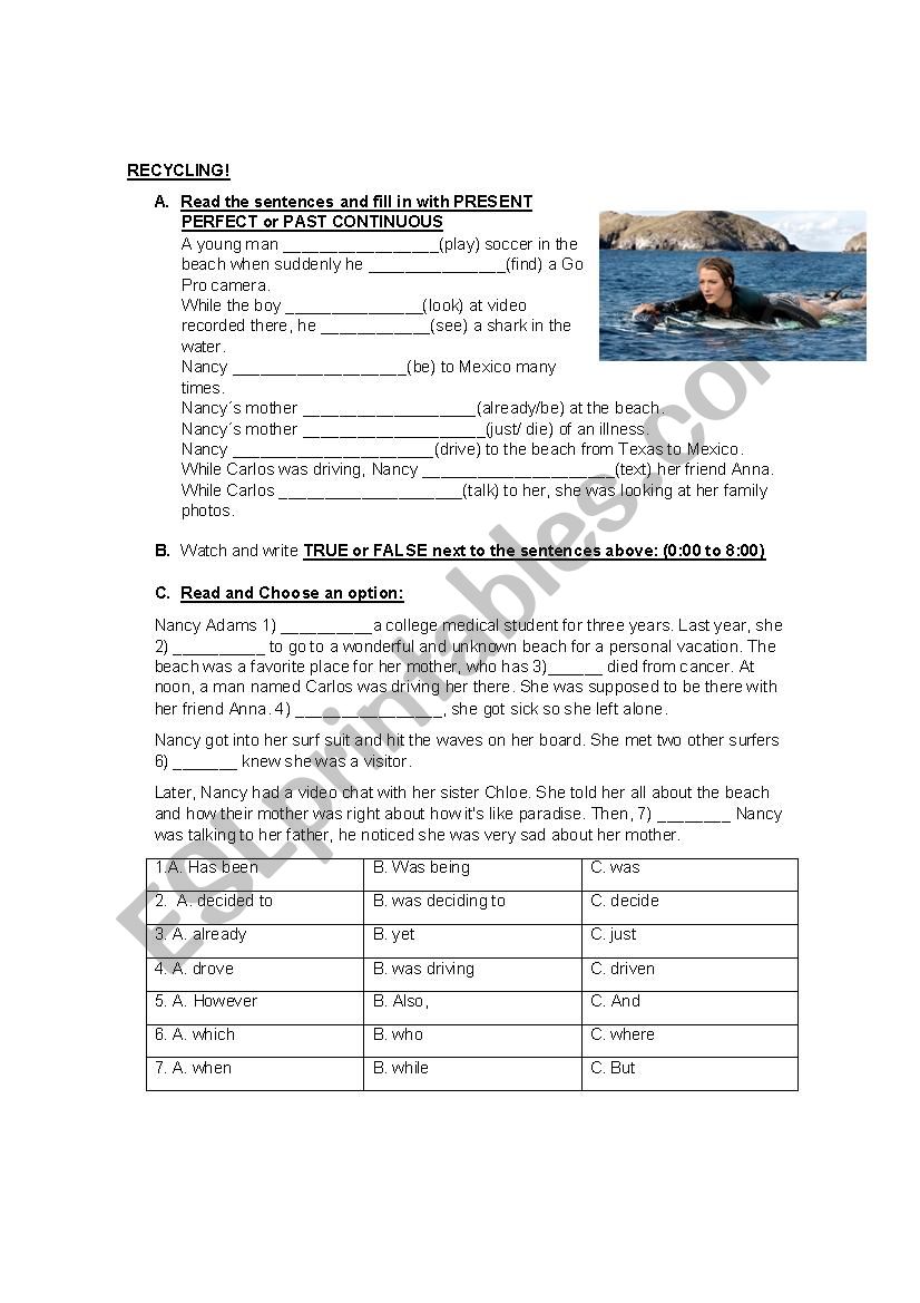THE SHALLOWS story  worksheet