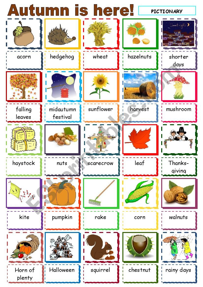 Autumn is here worksheet