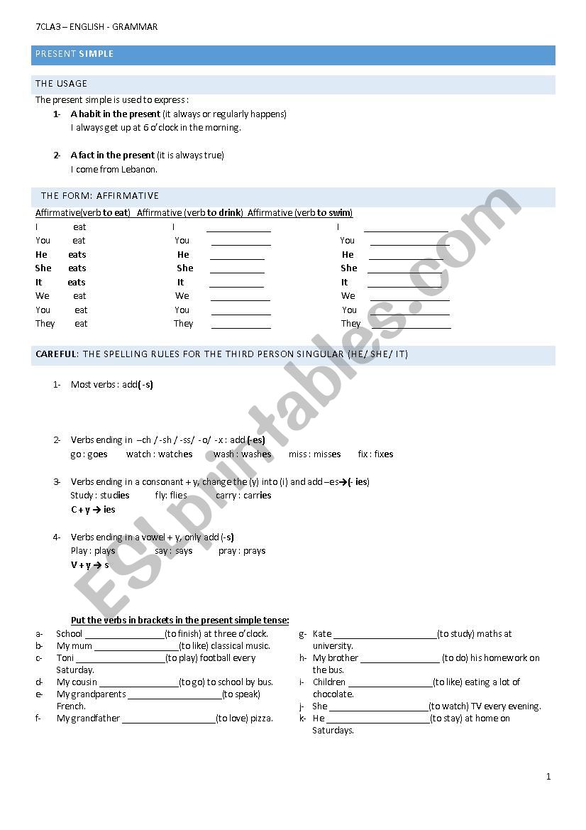 present simple  worksheet