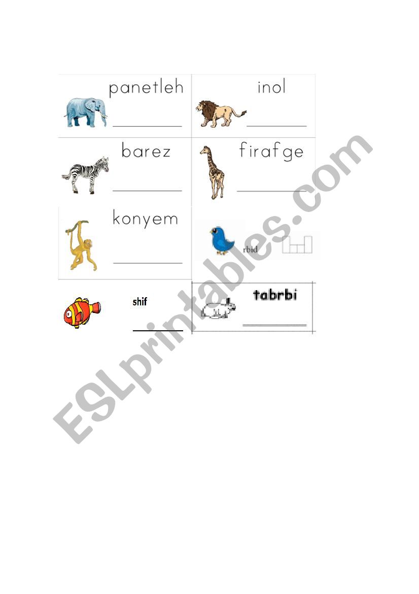 animals worksheet