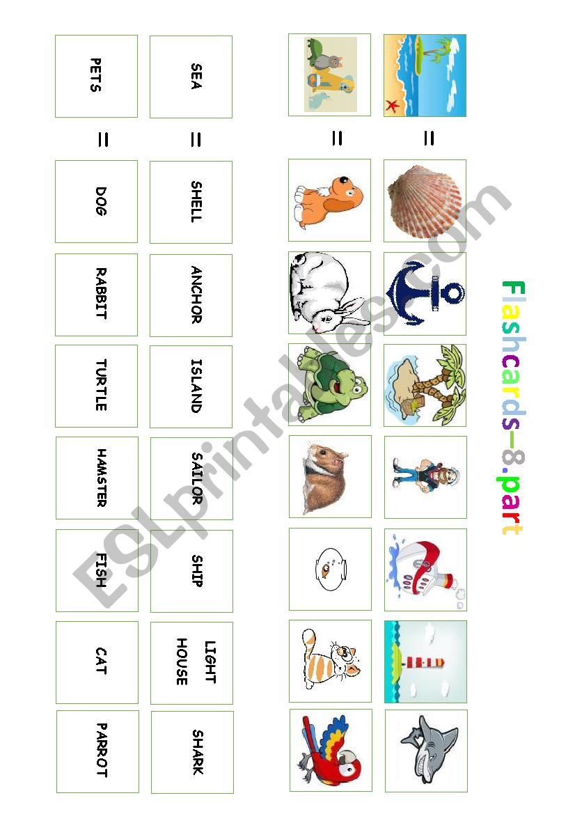 Flashcards - sorting of pictures / 8