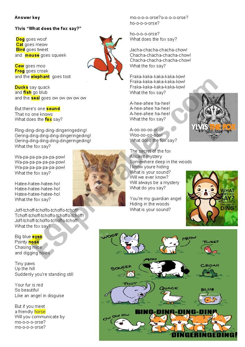 travel fox lyrics