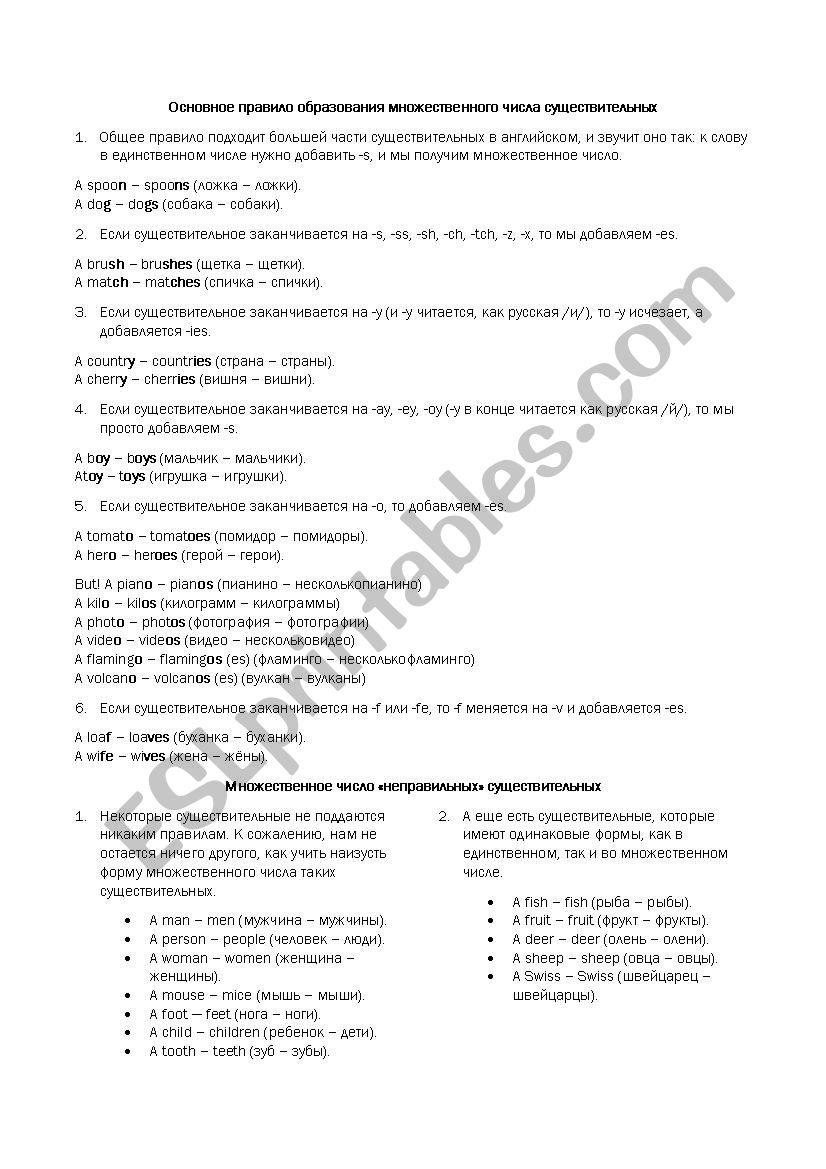 Plural forms worksheet