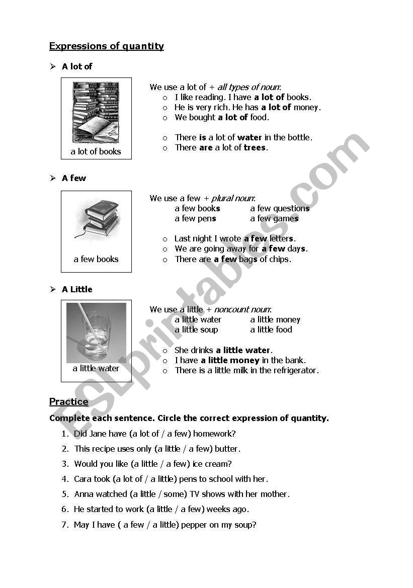 Expressions of quantity worksheet