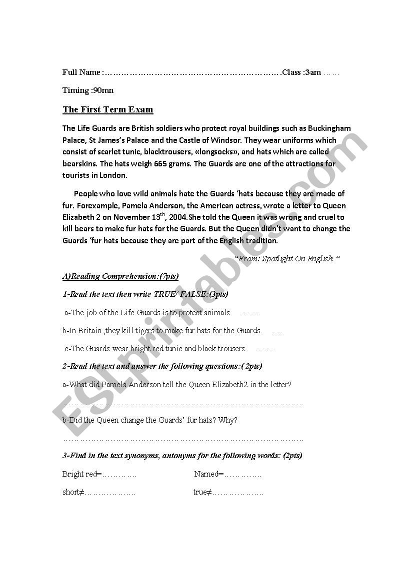 The Life Guards  worksheet