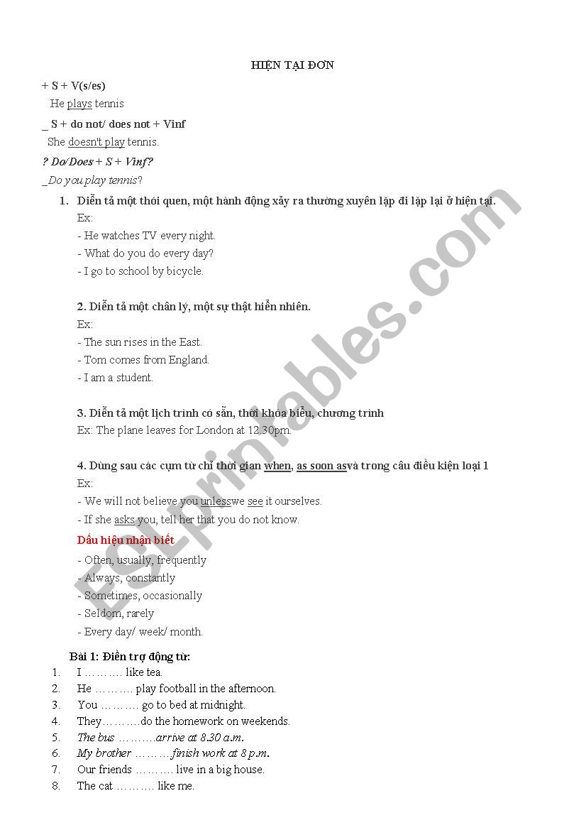 present simple worksheet