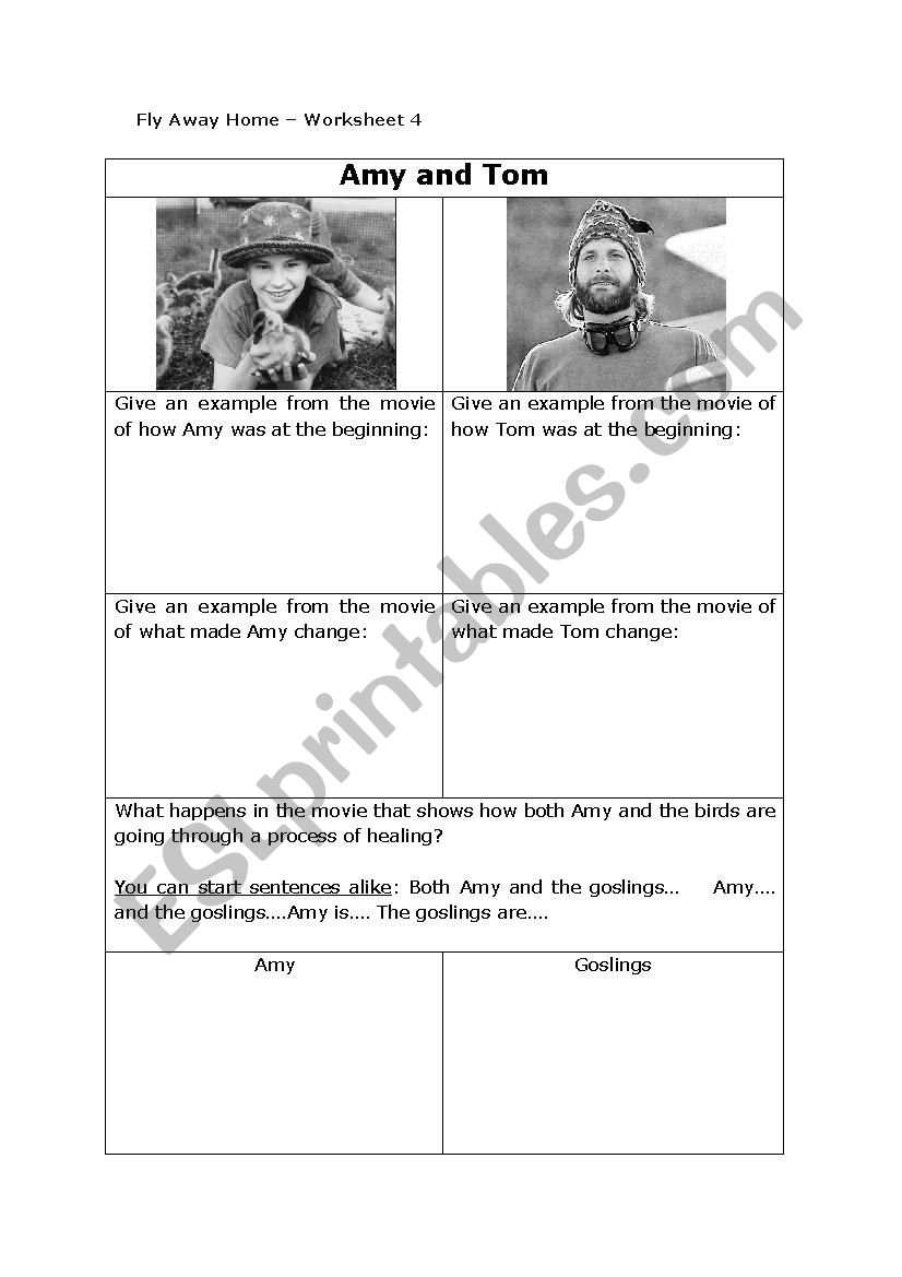 Fly Away Home Worksheet 4 worksheet