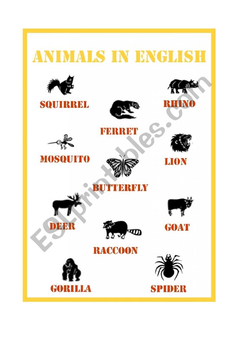 English Animals worksheet