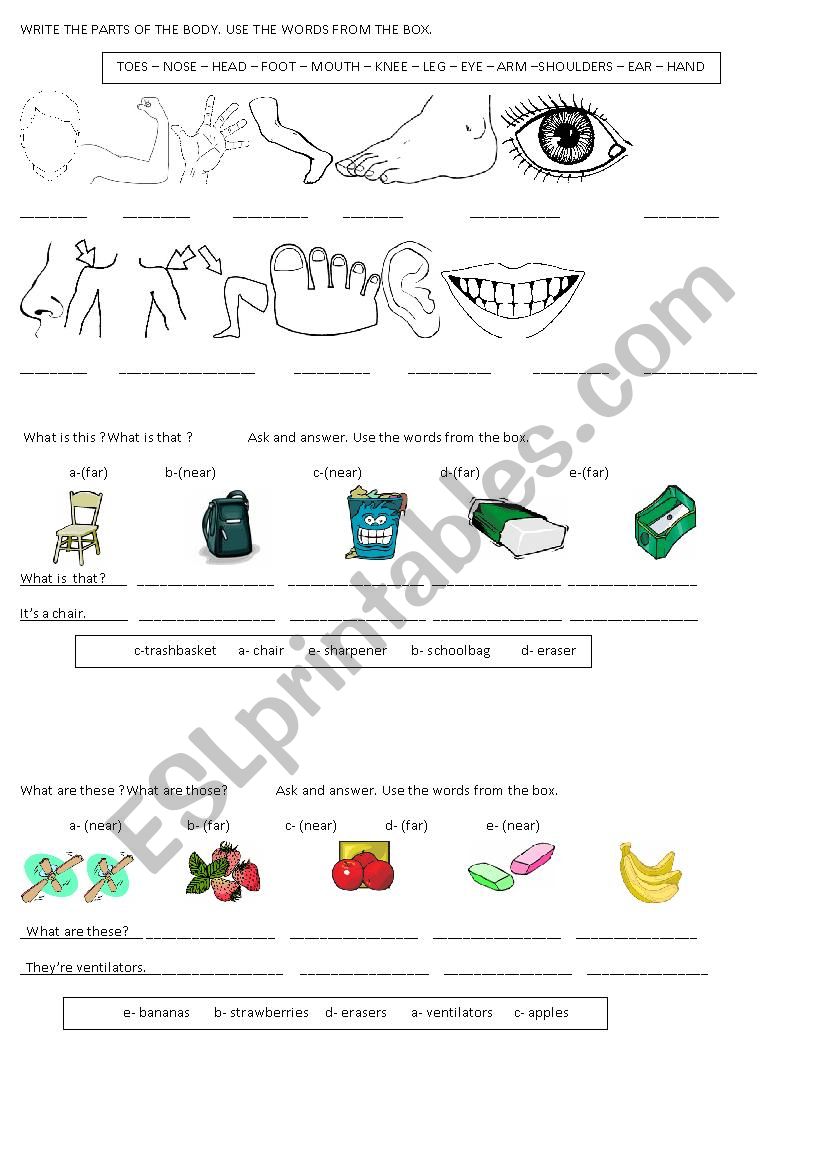 PARTS OF THE BODY -DEMONSTRATIVE PRONOUNS