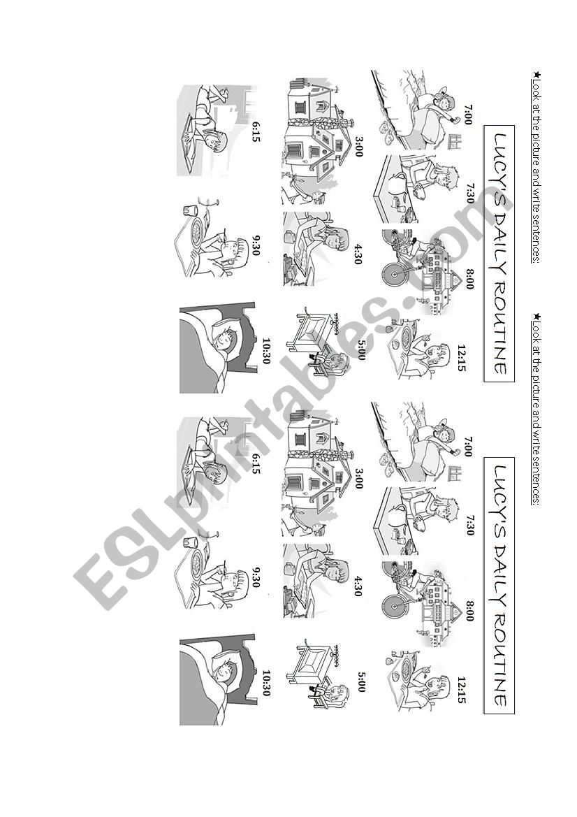 Daily Routine worksheet