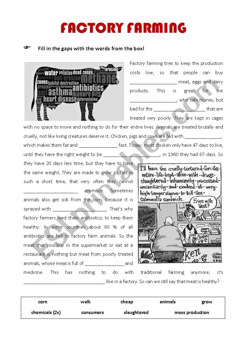 Factory Farming worksheet