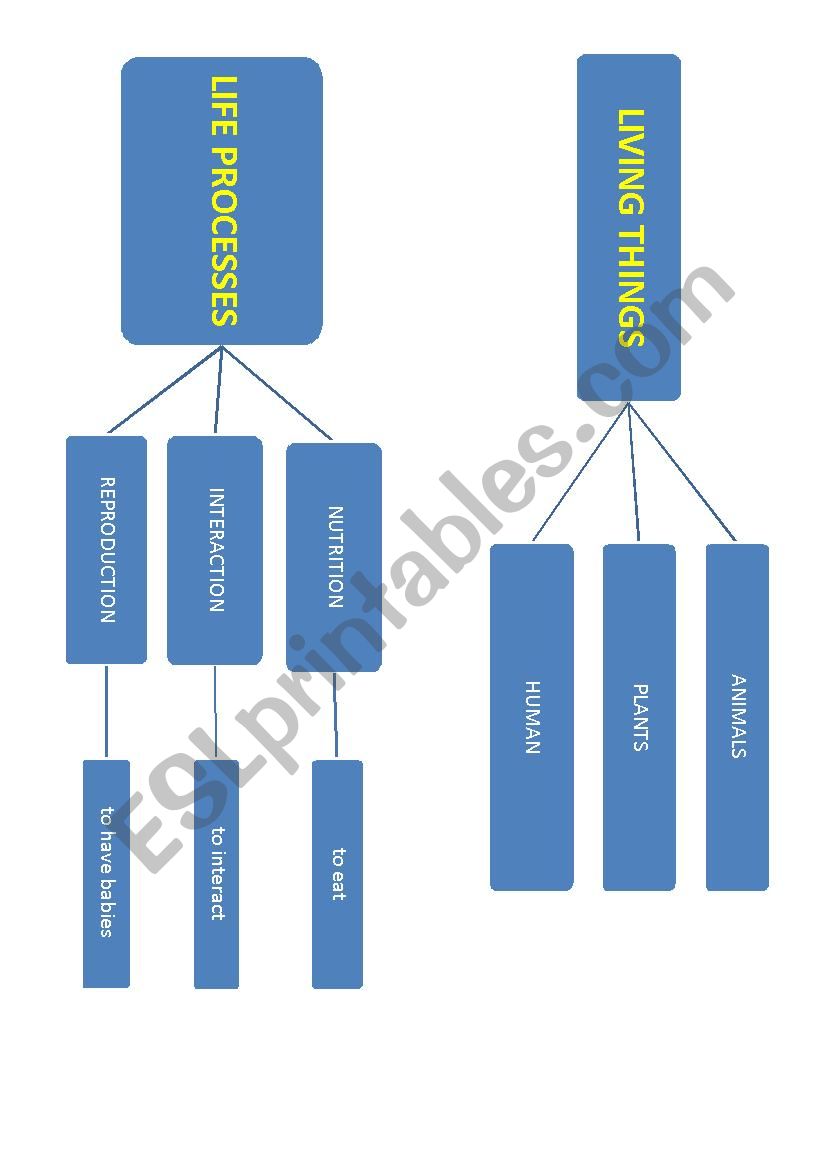 living things mind map worksheet