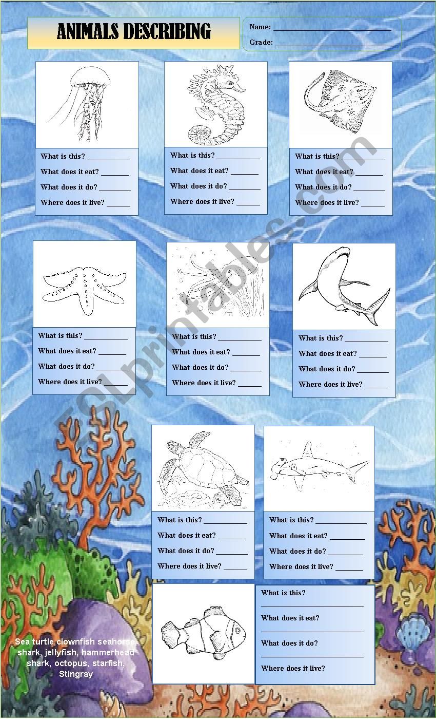 ANIMAL DESCRIBING worksheet