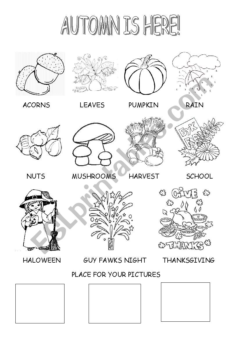 Autumn is here! worksheet