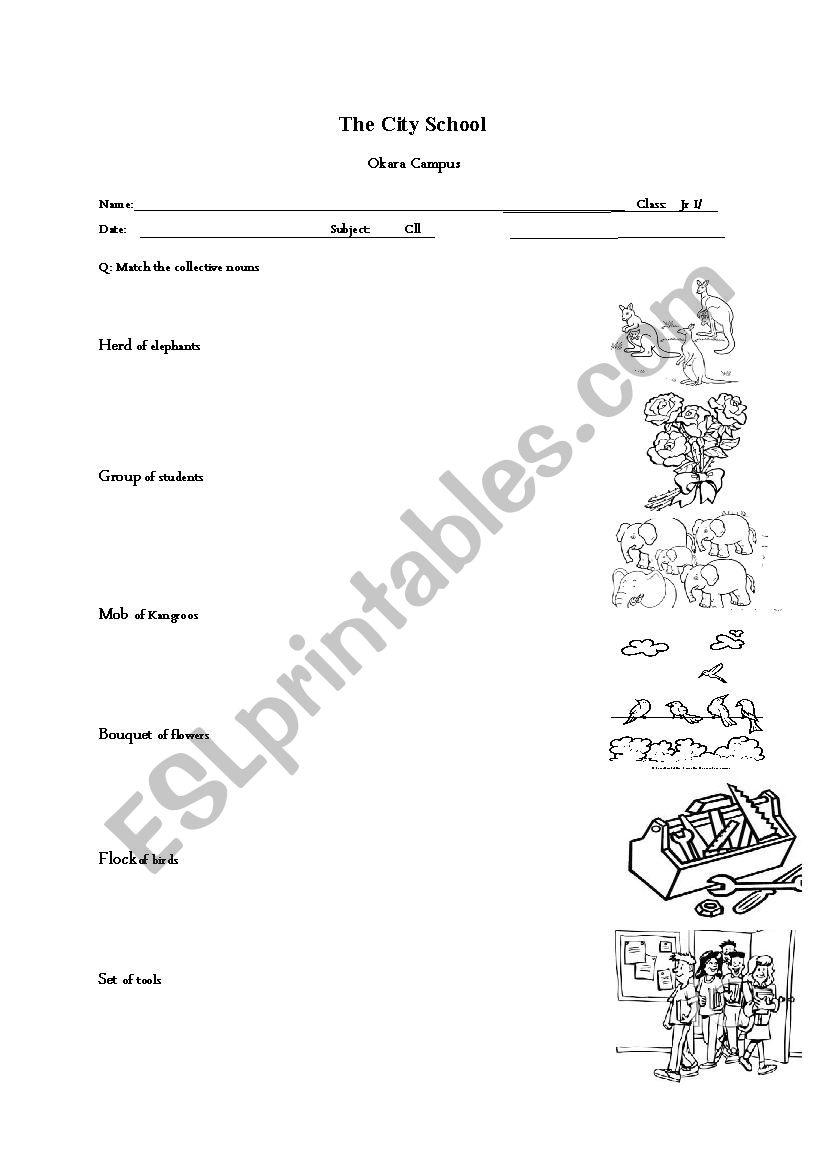 Collective noun worksheet